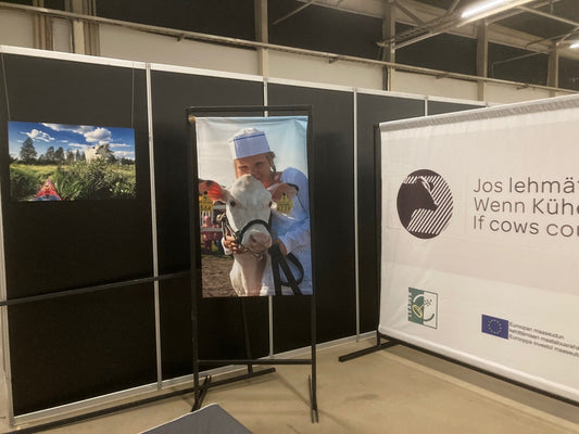 Jos lehmät puhuisivat -näyttely Okrassa