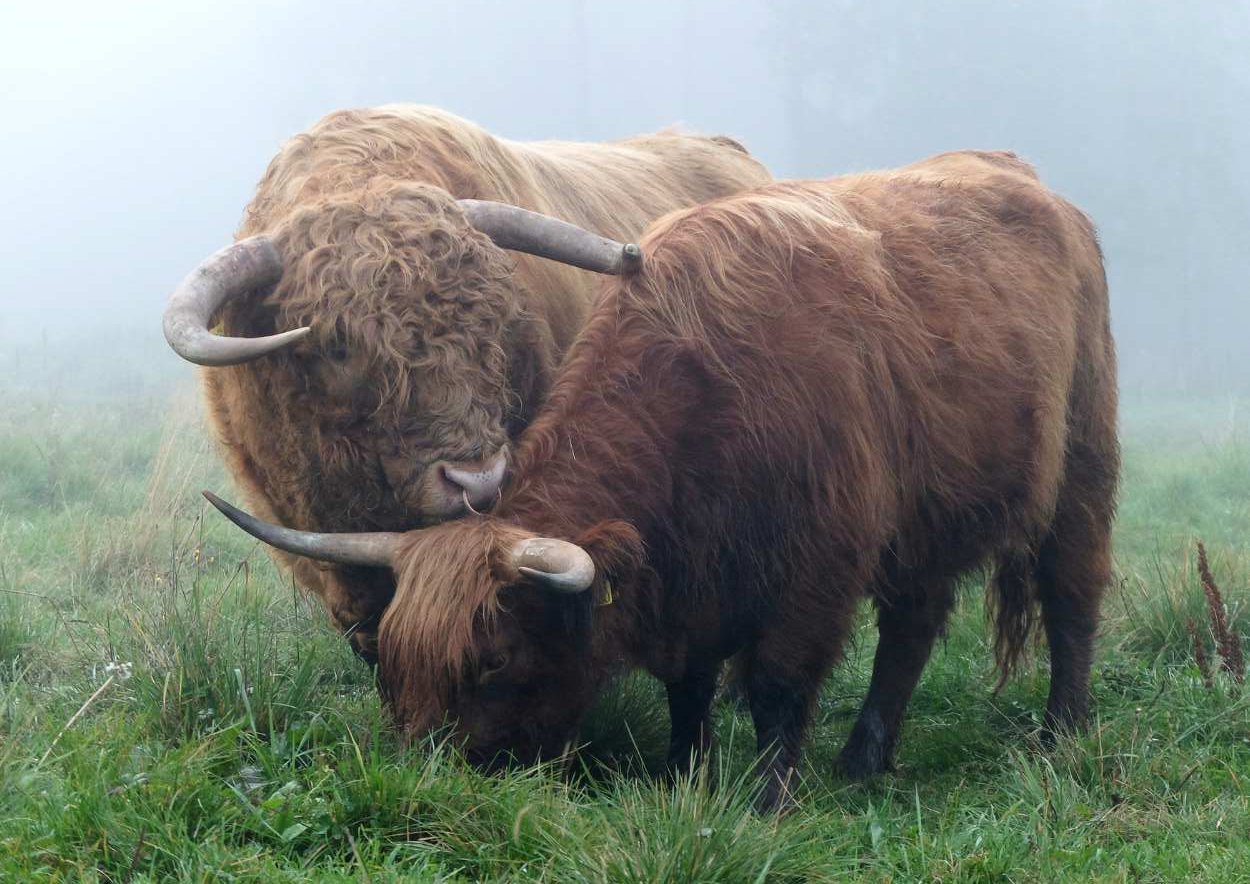 A3-julisteet, vaaka- ja pystykuva.  5 kuva-aihetta valittavissa