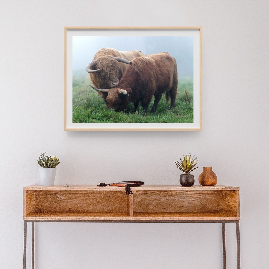 Julisteet, vaakakuva, 60 x 40 cm. 4 kuva-aihetta valittavissa