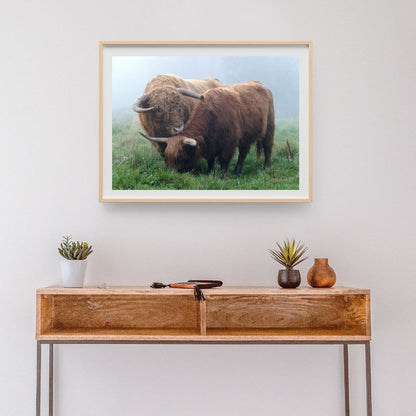 Julisteet, vaakakuva, 60 x 40 cm. 4 kuva-aihetta valittavissa