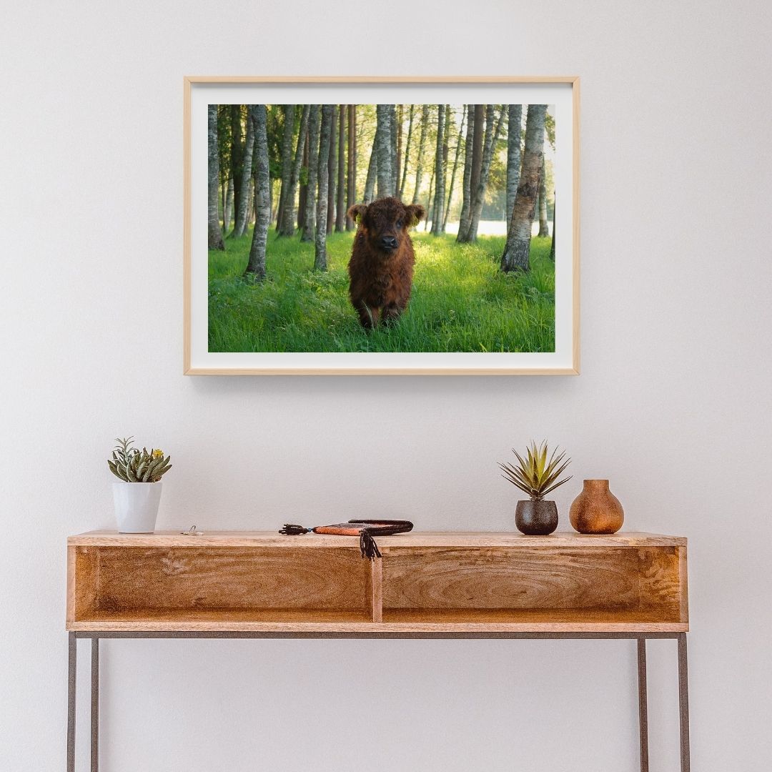 Julisteet, vaakakuva, 60 x 40 cm. 4 kuva-aihetta valittavissa