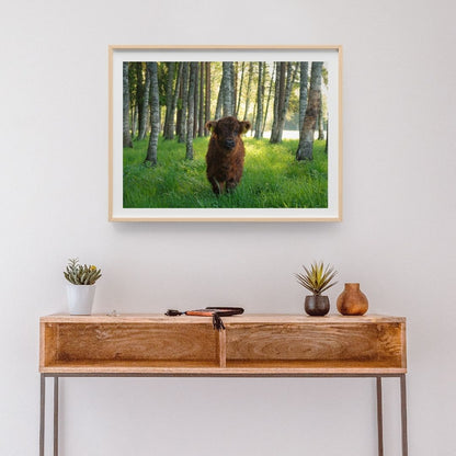 Julisteet, vaakakuva, 60 x 40 cm. 4 kuva-aihetta valittavissa