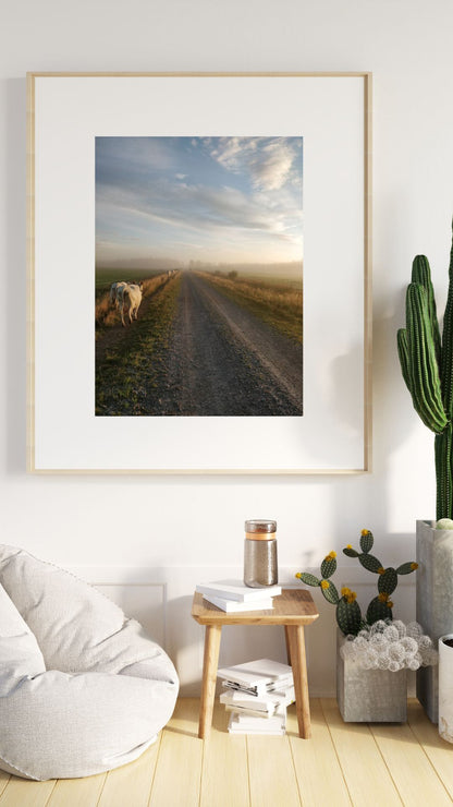 Aamulypsylle, lehmäjuliste