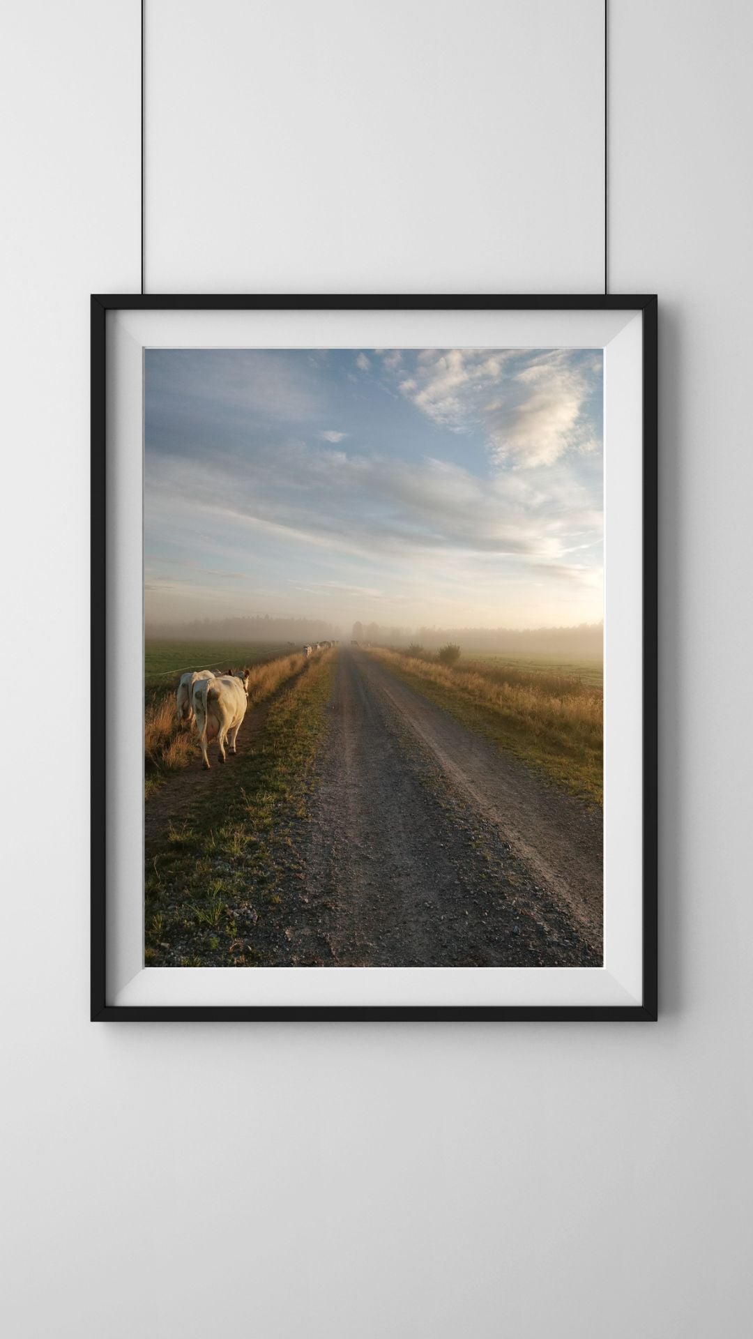 Aamulypsylle, lehmäjuliste