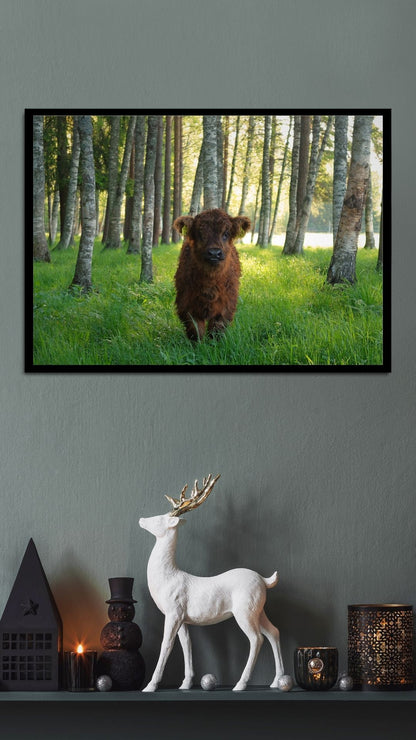 Julisteet, vaakakuva, 60 x 40 cm. 4 kuva-aihetta valittavissa