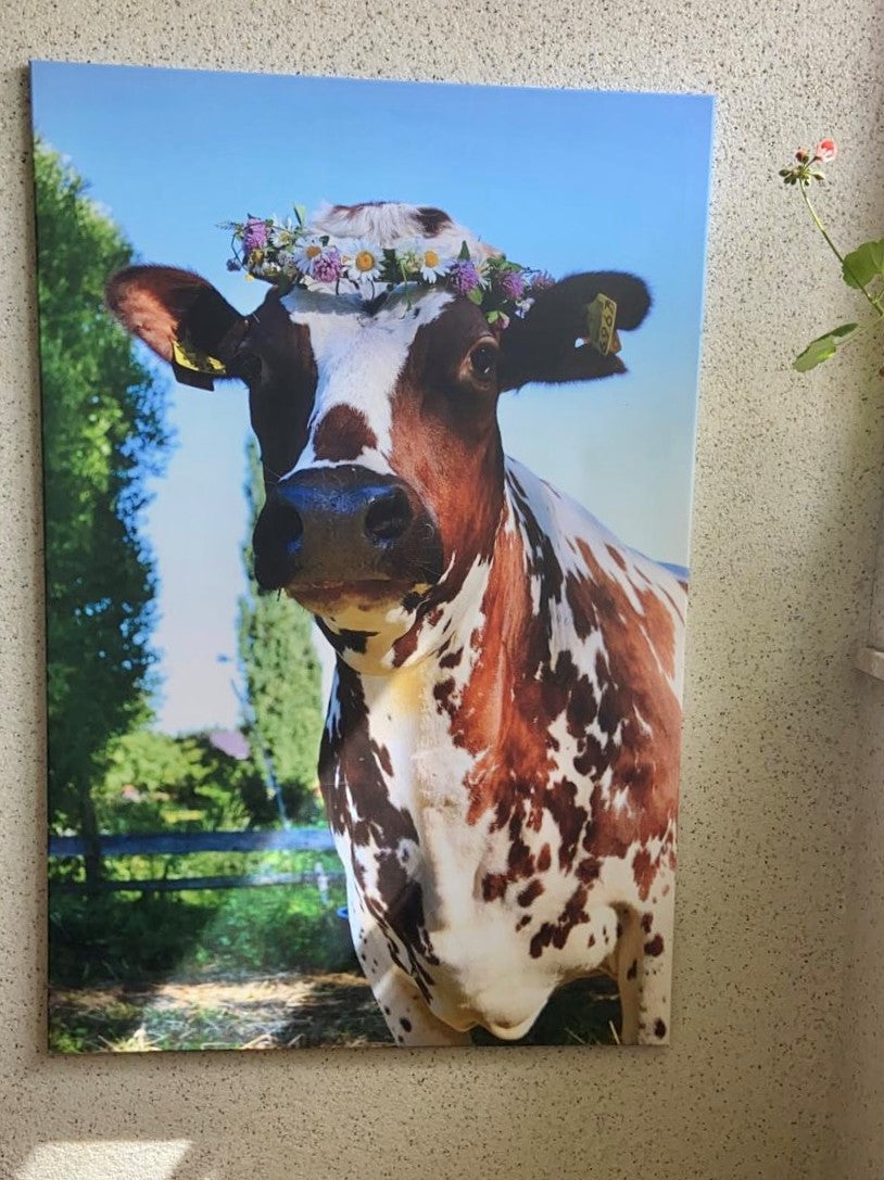 Onnenhetki,  canvastaulu