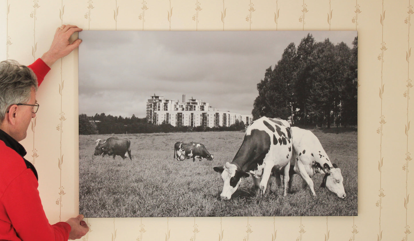 Rinnakkaiseloa, canvastaulu