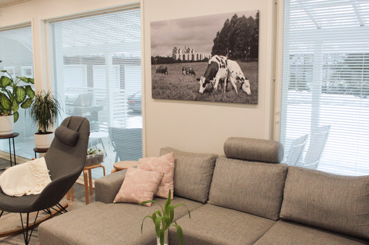 Rinnakkaiseloa, canvastaulu