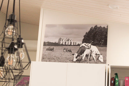 Rinnakkaiseloa, canvastaulu