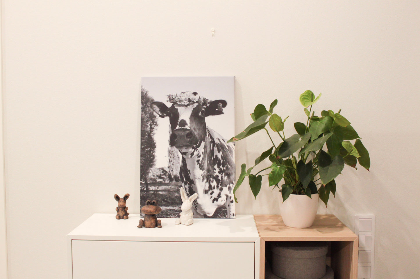 Onnenhetki, lehmätaulu (mustavalkoinen)