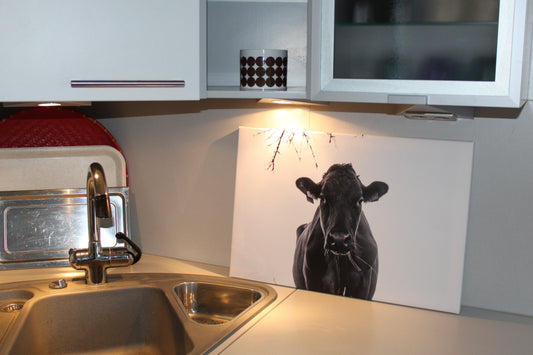 Yömyssy, canvastaulu