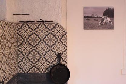 Rinnakkaiseloa, canvastaulu