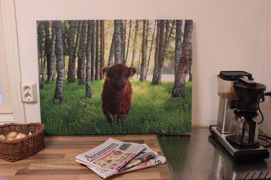 Minä olen, canvastaulu.