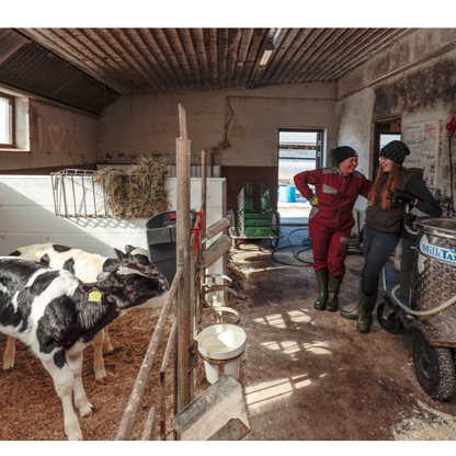 Irina ja Nailon Piit – Yllättävä päivä maitotilalla. Lasten tietokirja